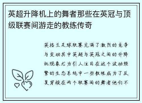 英超升降机上的舞者那些在英冠与顶级联赛间游走的教练传奇